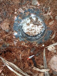 timeline_20240402_161611