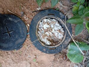 timeline_20240402_161631