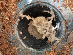 timeline_20240402_161646