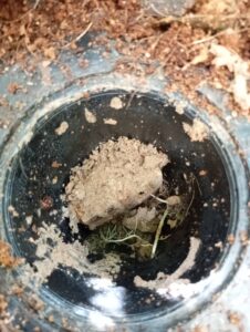 timeline_20240402_161655